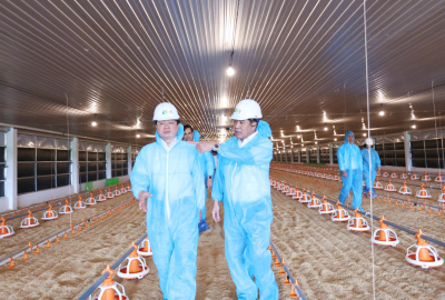 Lãnh đạo Tây Ninh khảo sát tiến độ Dự án chăn nuôi công nghệ cao DHN Tây Ninh 2